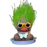 Figure Plants™ - Leer planten verzorgen -  Thuis Decoratie Planten