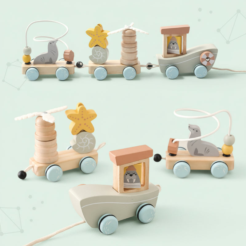 Color Spring– Spelend & Ontwikkelend – Sensorisch Houten Babyspeelgoed