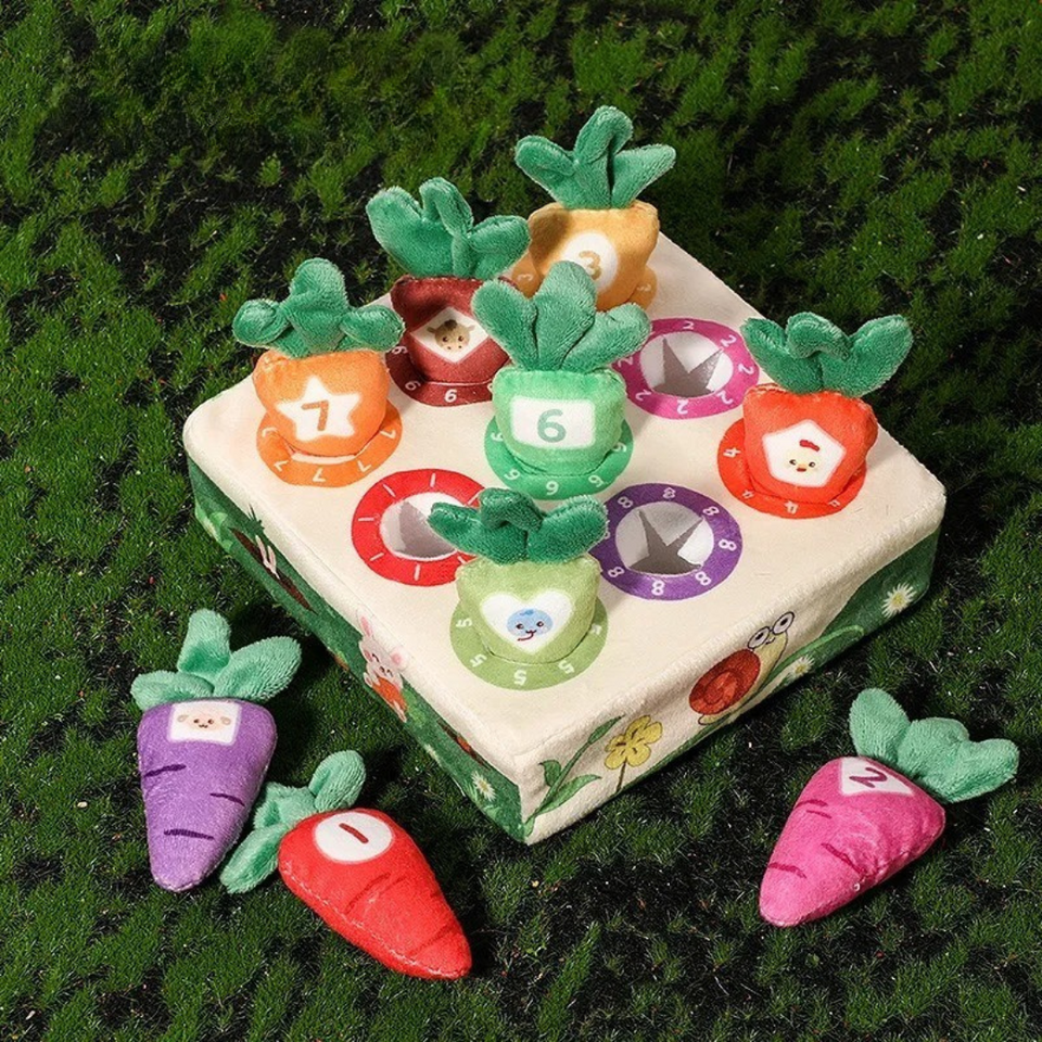Sensory Carrots – Voelen & Plukken – Zintuiglijk Speelgoed