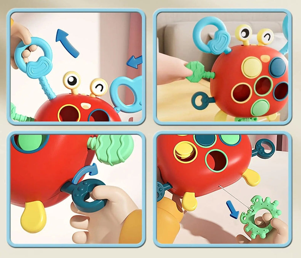 Sensory Crab™ - Motorische Magie - Sensorisch speelgoed