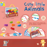 Rainbow Teddy Bears Toys™ - Educatief & Creatief - Regenboog Telberen