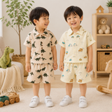 Dinosaur & Car Print Outfit – Stoer & Speels – Zomer Kleding Set