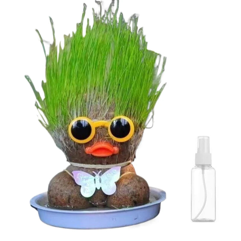 Figure Plants™ - Leer planten verzorgen -  Thuis Decoratie Planten