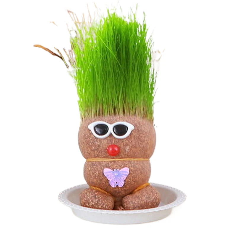 Figure Plants™ - Leer planten verzorgen -  Thuis Decoratie Planten