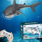 SeaBuddy – Creatief & Bewegend – RC Haai