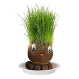Figure Plants™ - Leer planten verzorgen -  Thuis Decoratie Planten