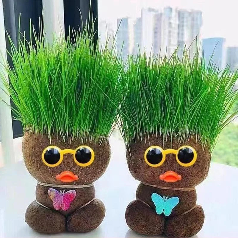 Figure Plants™ - Leer planten verzorgen -  Thuis Decoratie Planten