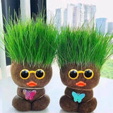 Figure Plants™ - Leer planten verzorgen -  Thuis Decoratie Planten