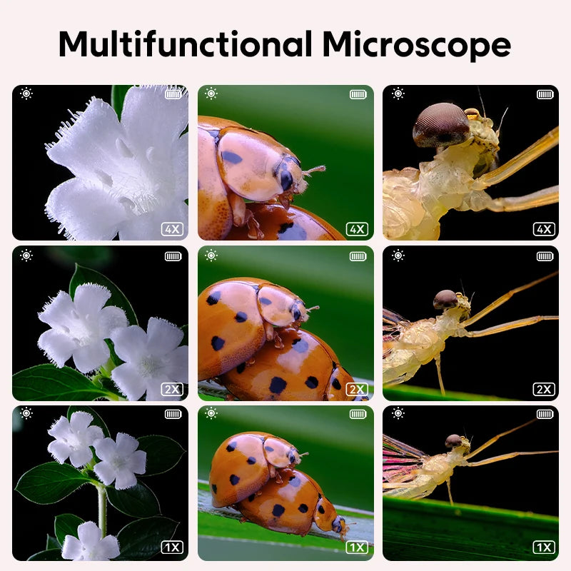 Mini Kids Microscope™ - Wetenschap Onder De Lens - Microscoop