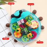 Music Beetle Toy™ - Motorische vaardigheid ontwikkelen - Mechanische kever