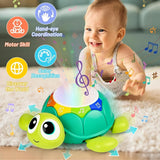 Turtle Projector™ - Stimuleer kruipen - Sterprojector