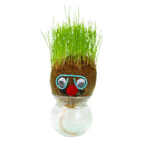 Figure Plants™ - Leer planten verzorgen -  Thuis Decoratie Planten