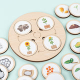Woods™ - Leer de levenscyclus ontdekken! - Houten puzzel