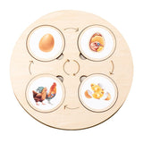 Woods™ - Leer de levenscyclus ontdekken! - Houten puzzel